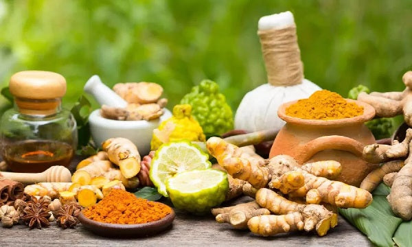 Ayurveda: The Art and Science of Herbal Application