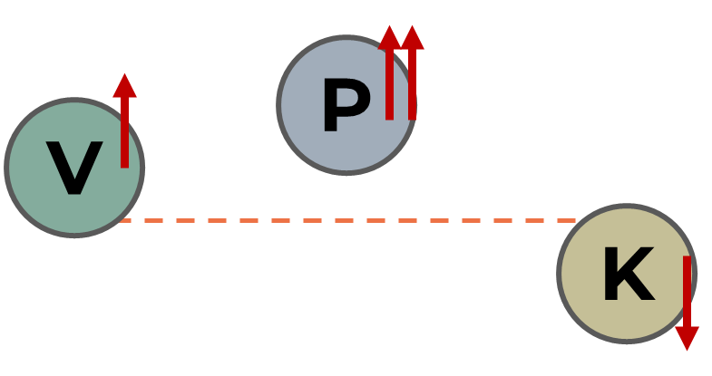 The Ayurvedic tri-dosha reasons for your  hair problems