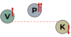 The Ayurvedic tri-dosha reasons for your  hair problems